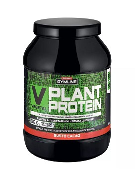 Gymline Muscle - Vegetal Plant Protein 900 gramos - ENERVIT