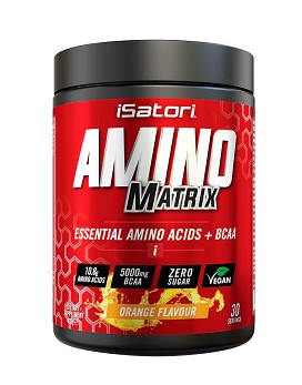 Amino Matrix 420 g - ISATORI