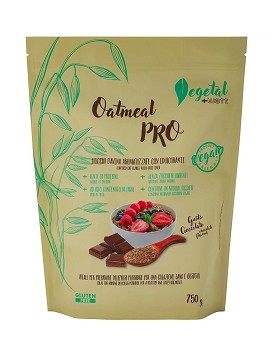 Oatmeal PRO 750 g - +WATT