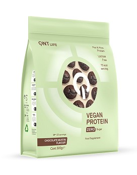 Vegan Protein 500 g - QNT