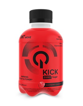 Kick Energy Drink 250 ml - QNT